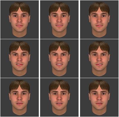 The Influence of Facial Asymmetry on Genuineness Judgment